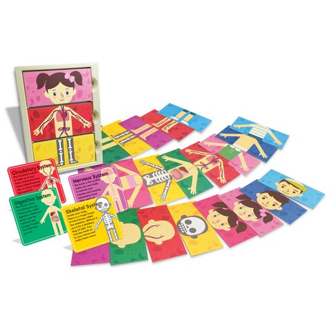 STEM-набор 4М Мое тело 00-04692 Превью 3